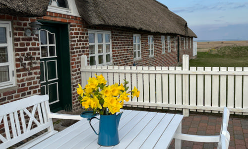Blomster i marken