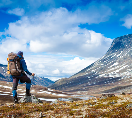 shutterstock_116663170