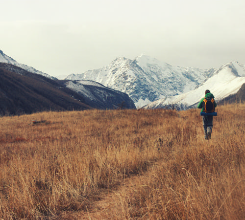 shutterstock_304209419