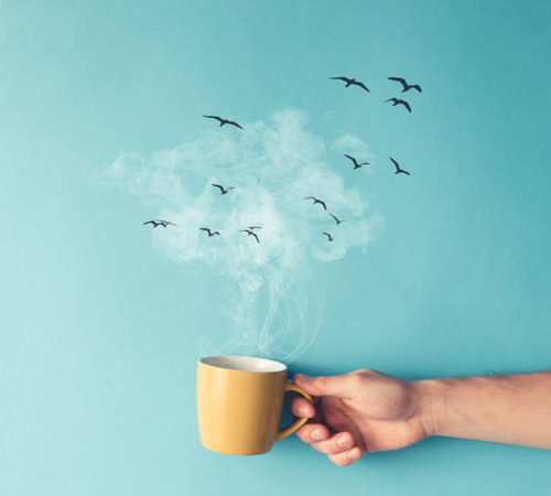 shutterstock_409686508